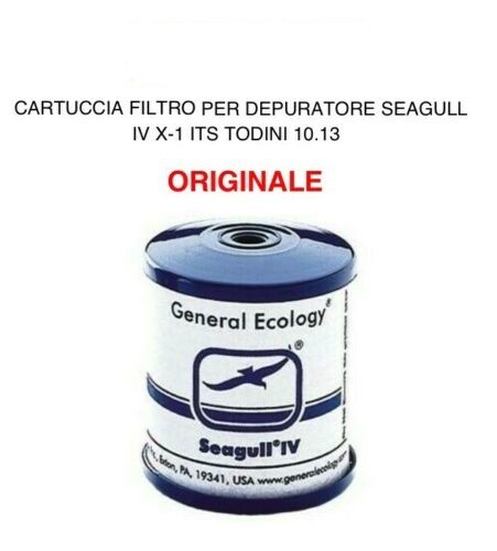 aa Cartuccia filtro ricambio 10.13 RS1SG per depuratore acqua ITS Todini Seagull IV
