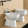 Sanitari a terra pozzi ginori colibri 2 ceramica wc con bidet e copriwc